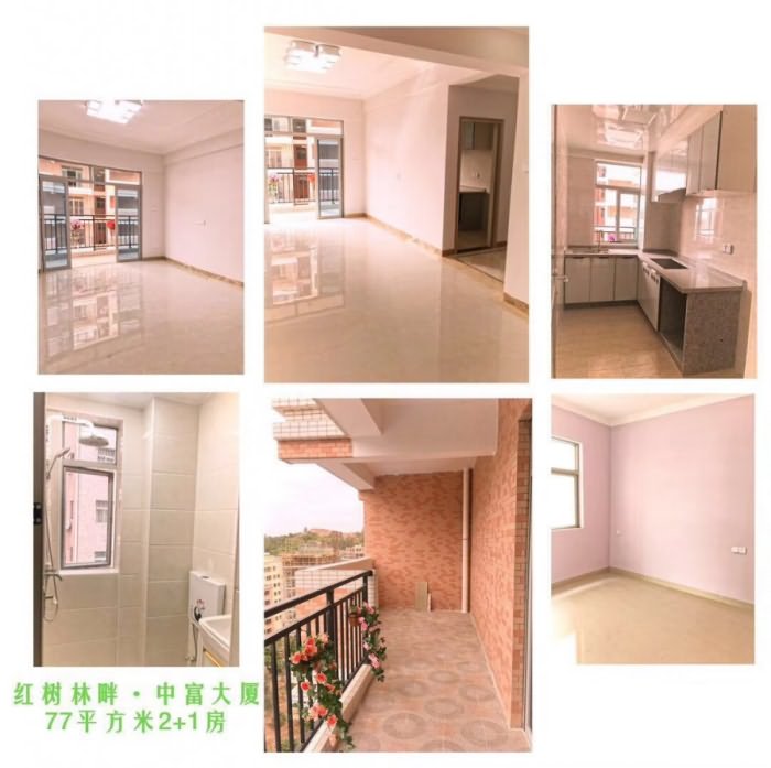 中富大厦样板房图